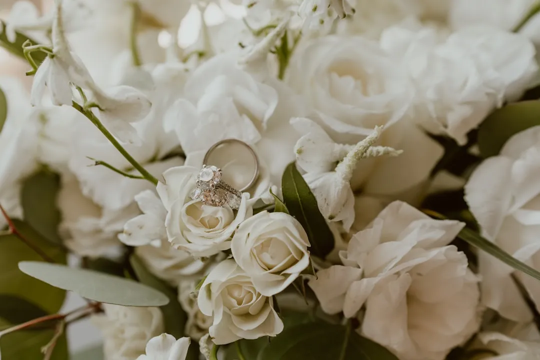 2024年真准科技字体库研发升级功能详解